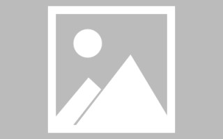 定西网页设计师周记（网页设计周记26篇300字）