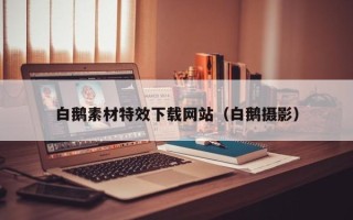 定西白鹅素材特效下载网站（白鹅摄影）